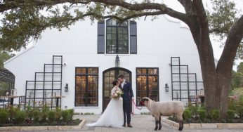 Jeff & Kim’s Peach Orchard Wedding Photography