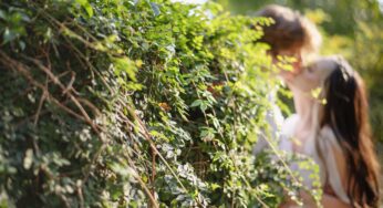 Engagement at Mercer Botanic Gardens